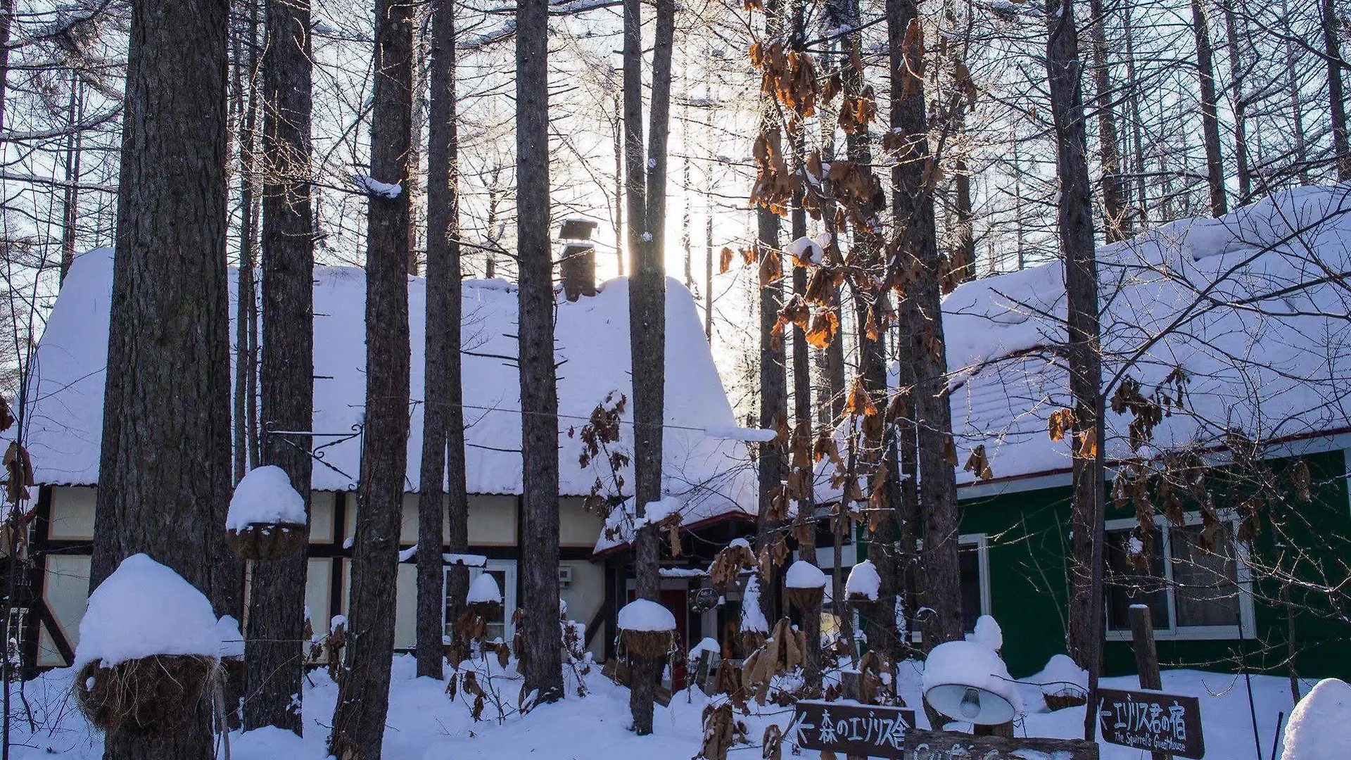 Guesthouse Canterbury Nakasatsunai
